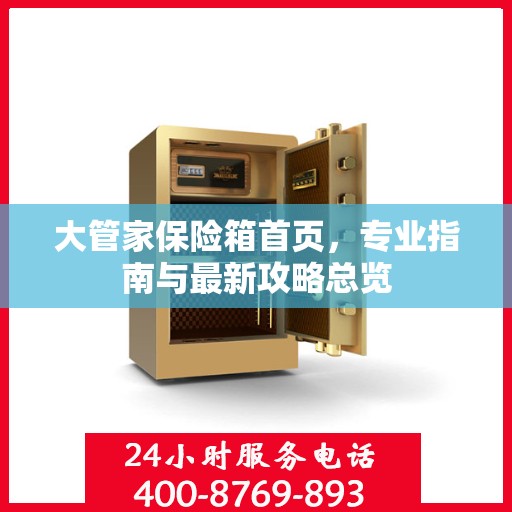 大管家保险箱首页，专业指南与最新攻略总览