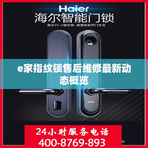 e家指纹锁售后维修最新动态概览