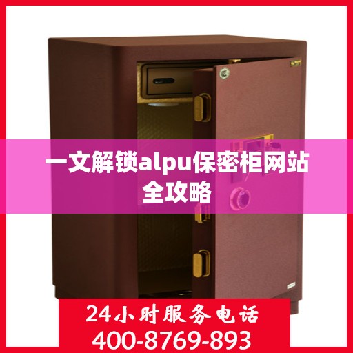 一文解锁alpu保密柜网站全攻略