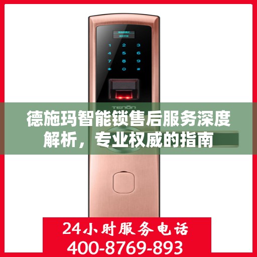 德施玛智能锁售后服务深度解析，专业权威的指南