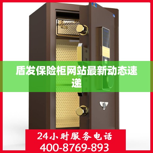 盾发保险柜网站最新动态速递