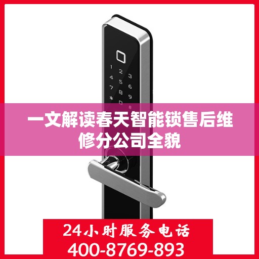 一文解读春天智能锁售后维修分公司全貌