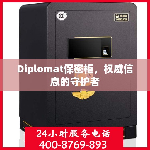 Diplomat保密柜，权威信息的守护者