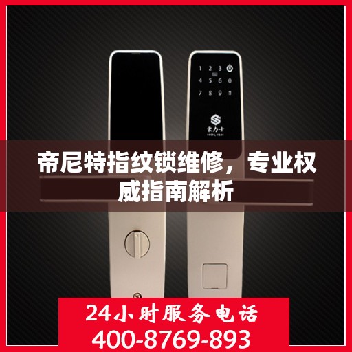 帝尼特指纹锁维修，专业权威指南解析