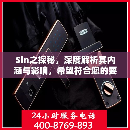 Sin之探秘，深度解析其内涵与影响，希望符合您的要求，您也可酌情调整。