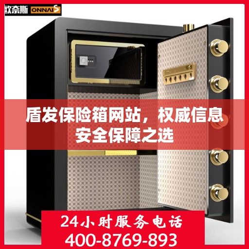 盾发保险箱网站，权威信息安全保障之选