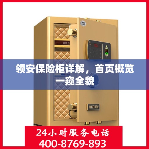 领安保险柜详解，首页概览一窥全貌