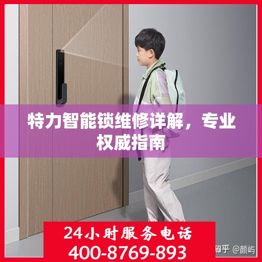 特力智能锁维修详解，专业权威指南