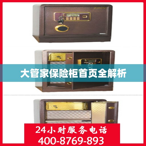 大管家保险柜首页全解析