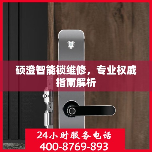 硕澄智能锁维修，专业权威指南解析