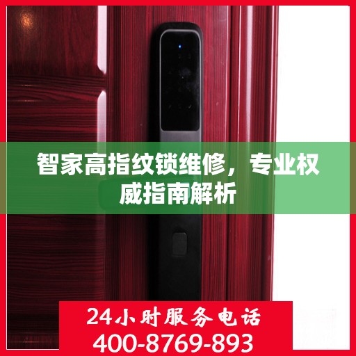 智家高指纹锁维修，专业权威指南解析