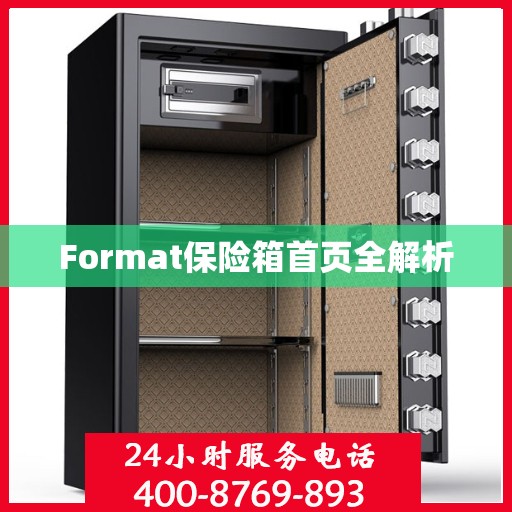 Format保险箱首页全解析