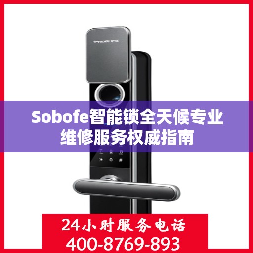 Sobofe智能锁全天候专业维修服务权威指南