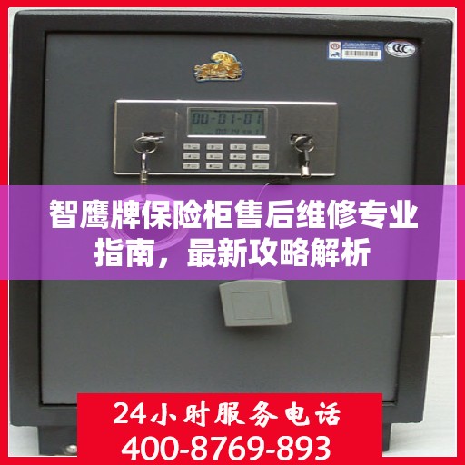 智鹰牌保险柜售后维修专业指南，最新攻略解析