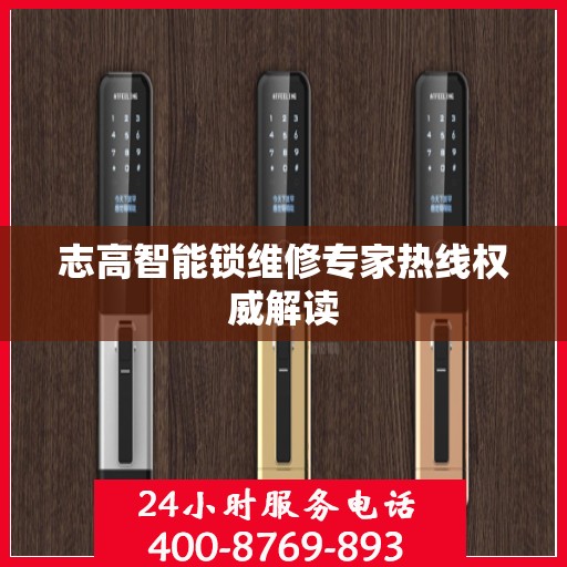 志高智能锁维修专家热线权威解读