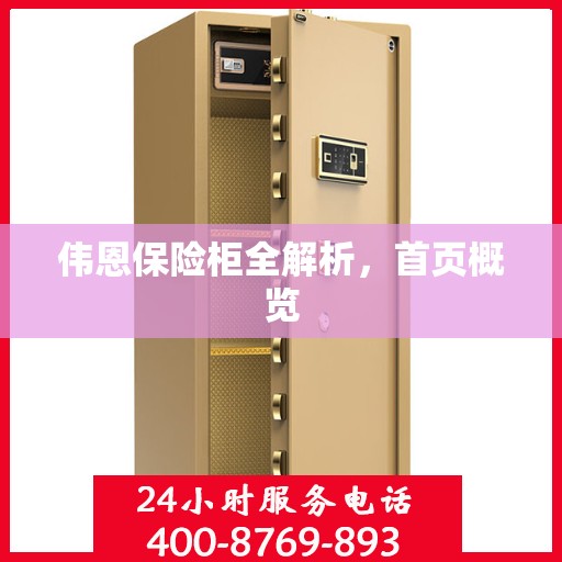 伟恩保险柜全解析，首页概览