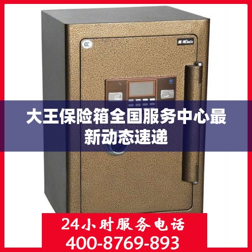 大王保险箱全国服务中心最新动态速递