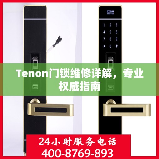 Tenon门锁维修详解，专业权威指南