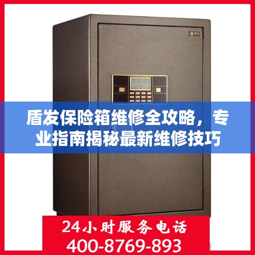 盾发保险箱维修全攻略，专业指南揭秘最新维修技巧