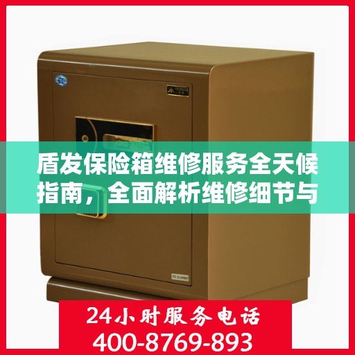 盾发保险箱维修服务全天候指南，全面解析维修细节与流程