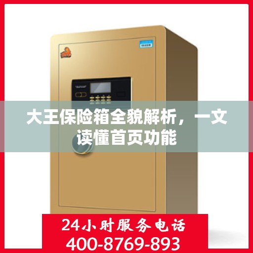 大王保险箱全貌解析，一文读懂首页功能