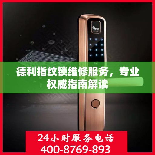 德利指纹锁维修服务，专业权威指南解读