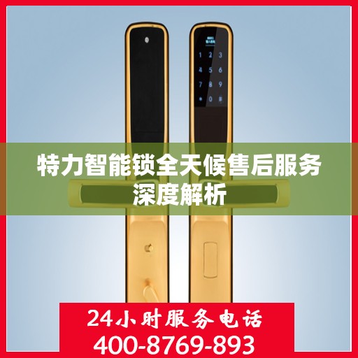 特力智能锁全天候售后服务深度解析