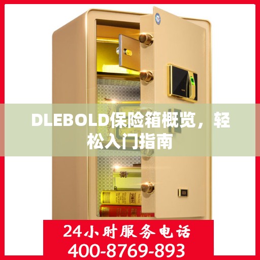 DLEBOLD保险箱概览，轻松入门指南