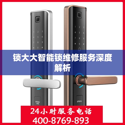 锁大大智能锁维修服务深度解析