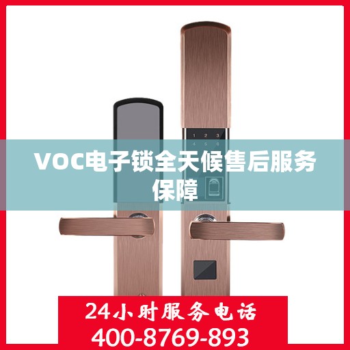 VOC电子锁全天候售后服务保障