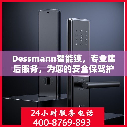 Dessmann智能锁，专业售后服务，为您的安全保驾护航