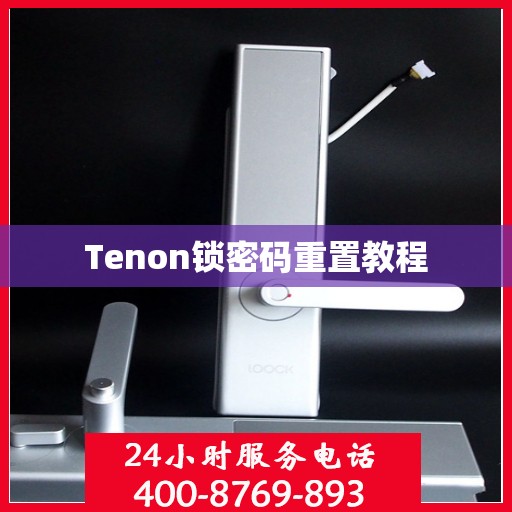 Tenon锁密码重置教程