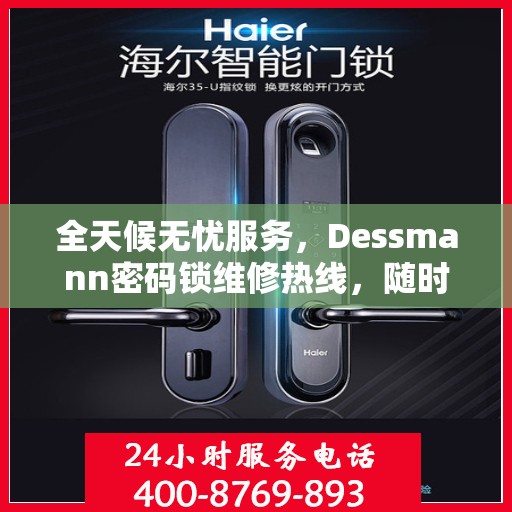 全天候无忧服务，Dessmann密码锁维修热线，随时响应您的需求