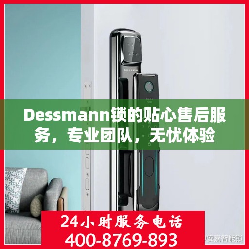 Dessmann锁的贴心售后服务，专业团队，无忧体验