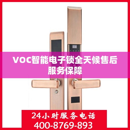 VOC智能电子锁全天候售后服务保障
