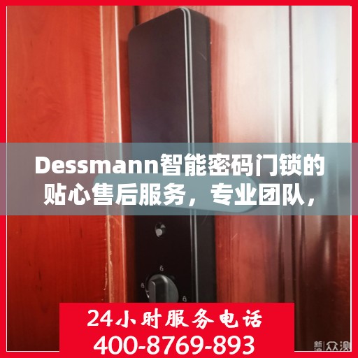 Dessmann智能密码门锁的贴心售后服务，专业团队，无忧体验