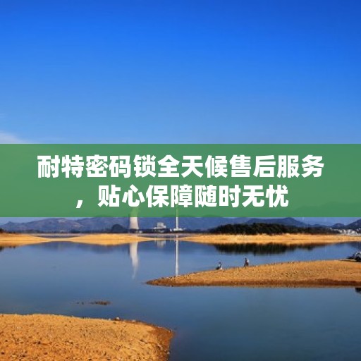 耐特密码锁全天候售后服务，贴心保障随时无忧