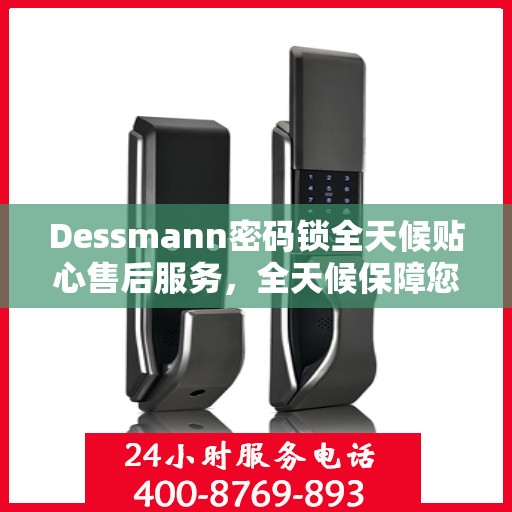 Dessmann密码锁全天候贴心售后服务，全天候保障您的安全！