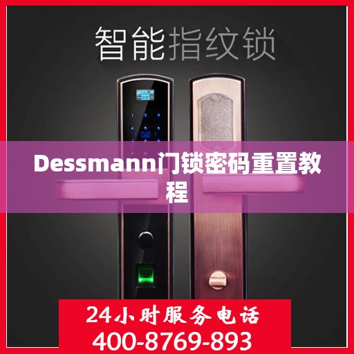 Dessmann门锁密码重置教程