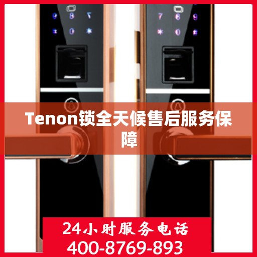 Tenon锁全天候售后服务保障
