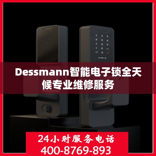 Dessmann智能电子锁全天候专业维修服务