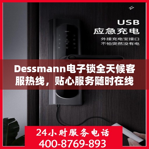 Dessmann电子锁全天候客服热线，贴心服务随时在线
