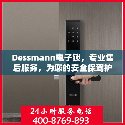 Dessmann电子锁，专业售后服务，为您的安全保驾护航