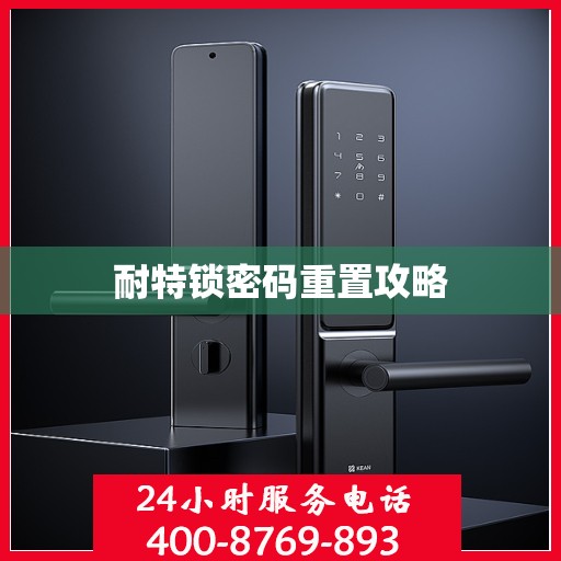 耐特锁密码重置攻略