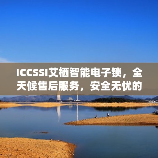 ICCSSI艾栖智能电子锁，全天候售后服务，安全无忧的锁具专家