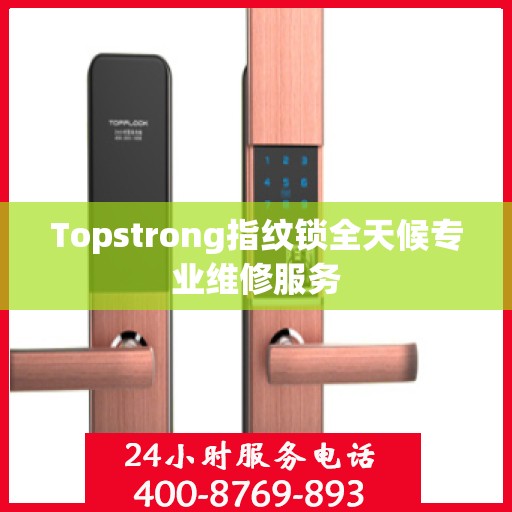 Topstrong指纹锁全天候专业维修服务