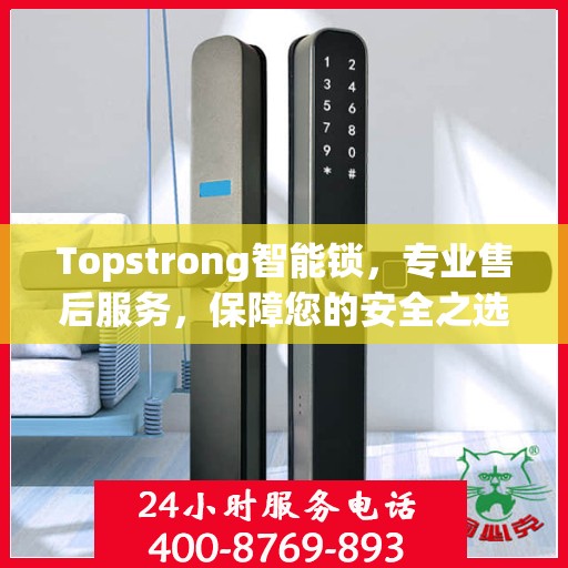 Topstrong智能锁，专业售后服务，保障您的安全之选