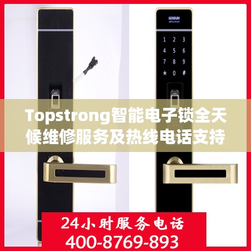 Topstrong智能电子锁全天候维修服务及热线电话支持