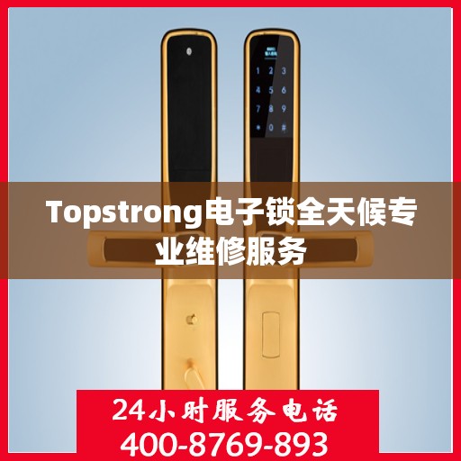 Topstrong电子锁全天候专业维修服务