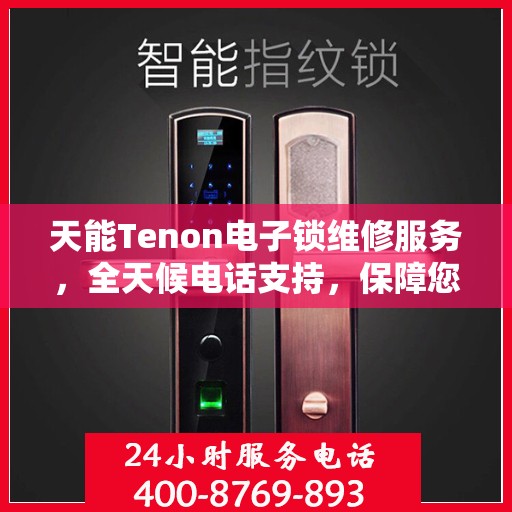 天能Tenon电子锁维修服务，全天候电话支持，保障您的安全无忧
